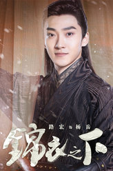 锦衣之下杨岳